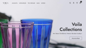 Wordpress E-Ticaret Site Tasarımı