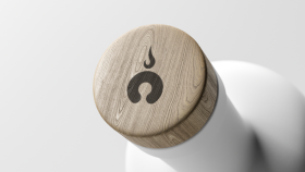 Candaan için logo çalışmam