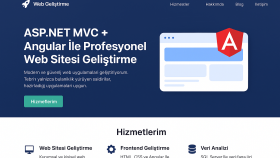 .Net MVC ve Angular ile profesyonel web sitesi tasarlarım