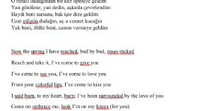 Lyrics Çeviri