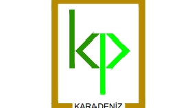 rüyanızdaki logoyu tasarlıyorum