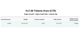 TikTok Reklam Performansı (Demo Çalışma)