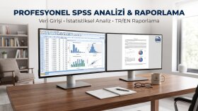 veri girişi, analizi ve raporlaması yaparım