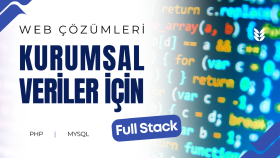 firmalar için profesyonel veri yönetim sistemi geliştiririm
