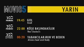 profesyonel seslendirme yaparım
