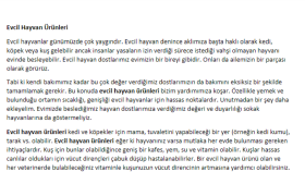Ürün İnceleme Yazıları