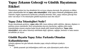 SEO Uyumlu Örnek Makale