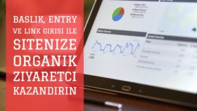 Ziyaretci