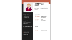 sizin için profesyonel cv tasarlarım