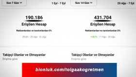 Sosyal Medya Danışmanlığı