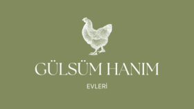 instagram için logo çalışması