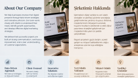 İngilizce-Türkçe metin çevirisi yaparım
