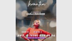 Organizasyon ve Tanıtım