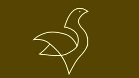 Artemo Verta - Logo Tasarımı