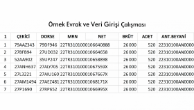 verilerinizi Excel’e düzenli şekilde işlerim