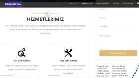 Otomotiv İkiler Oto Cam 2
