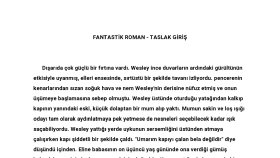 Fantastik roman, giriş taslağı