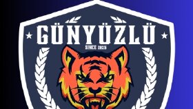 Futbol kulüpleri için logo tasarımı 