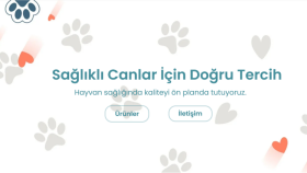 Web Sitesi Tasarım Düzenleme ve Güncelleme