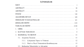 Tez Şablonu Düzenleme