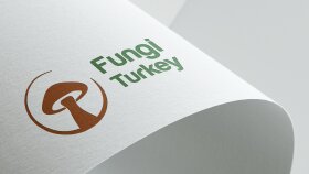 size özel ve akılda kalıcı, minimal logolar tasarlayabilirim