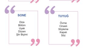 9.sınıf edebiyat dönem ödevi