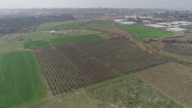 arazi videoları için yer işaretleme animasyonu yaparım