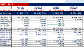 Excel, veri girişi, cari takip vs. işlerinizi yaparım