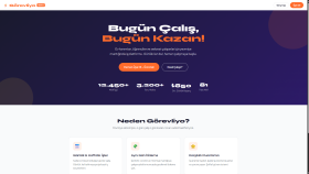 profesyonel statik web sitesi yaparım