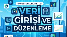 ürün ve veri girişi yaparım