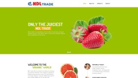 1 yıl hosting dahil anahtar teslim kurumsal site yapabilirim