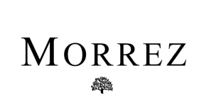 Morrez Firması İçin Tanıtım