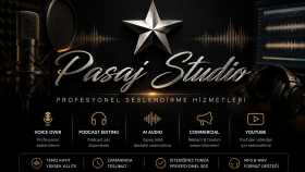Profesyonel seslendirme