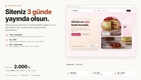 WordPress sitenizi 3 günde kurup yayına alıyorum