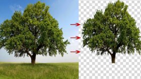 fotoğraf ve ürün görsellerinize dekupe işlemi yaparım