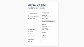 Profesyonel CV Hazırlama ve Düzenleme Örneği