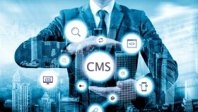 yönetilebilir admin paneli ve cms yapabilirim