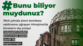 Panaceo sosyal medya yönetimi