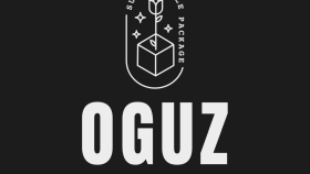 logo tasarımı yaparım