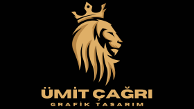 firmanızın gücünü yansıtacak logolar tasarlıyorum