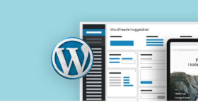  bireysel ve kurumsal web sitesi yapabilirim