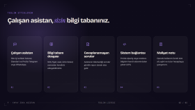 Asistan teslim paketi: bilgi tabanı, rapor, kanal bağlantısı