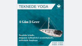 Sosyal medya gönderim tasarımları