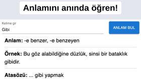 ihtiyacınıza özel chrome eklentileri yapabilirim