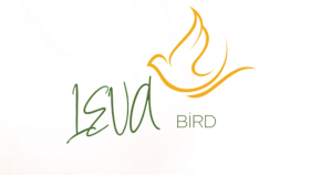 logo tasarımı yapıyorum