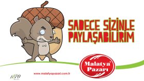 Sosyal Medya Çalışmalarım