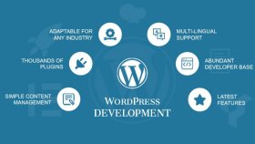sizin için anahtar teslim websitesi yapabilirim