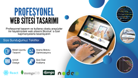 size özel web sitesi tasarlayabilirim