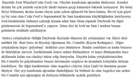 dizi ve film incelemesi yapabilirim
