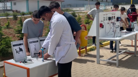 Proje Şenliği
